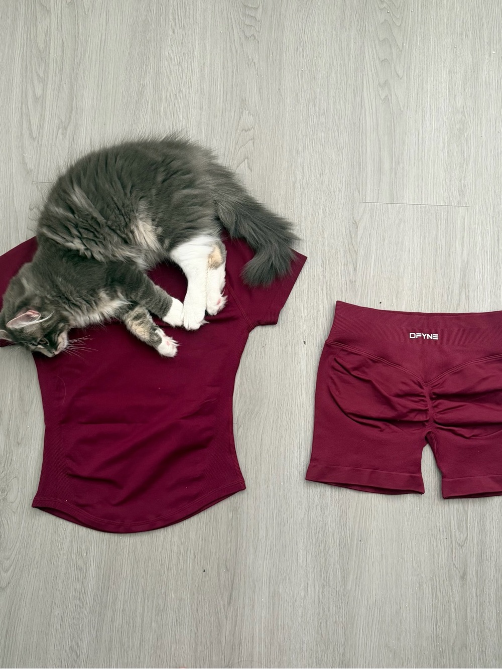 DFYNE burgundy/dark red set